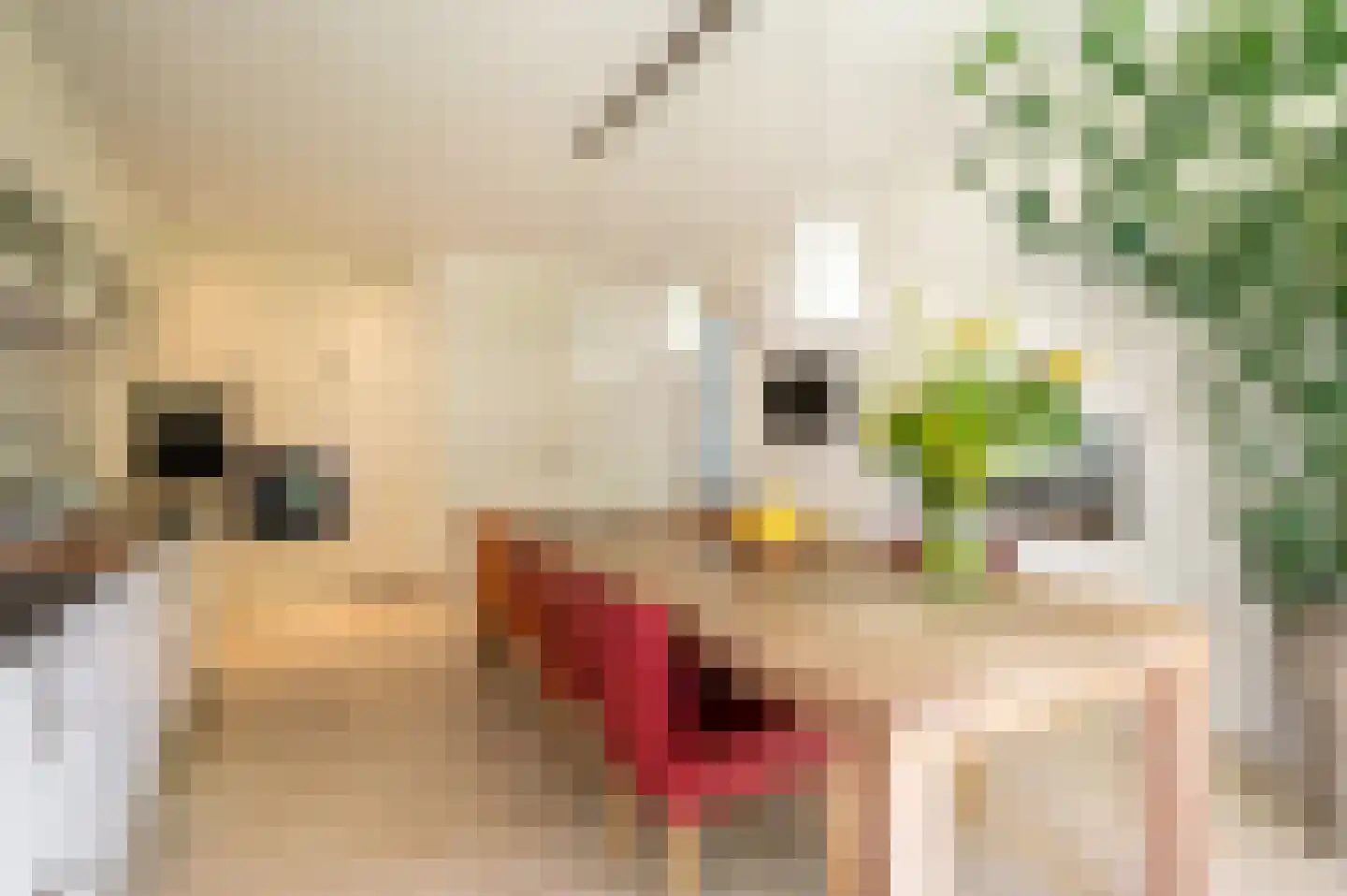 Hubertus van der Clusenstraat 8 Waalre thumbnail 21