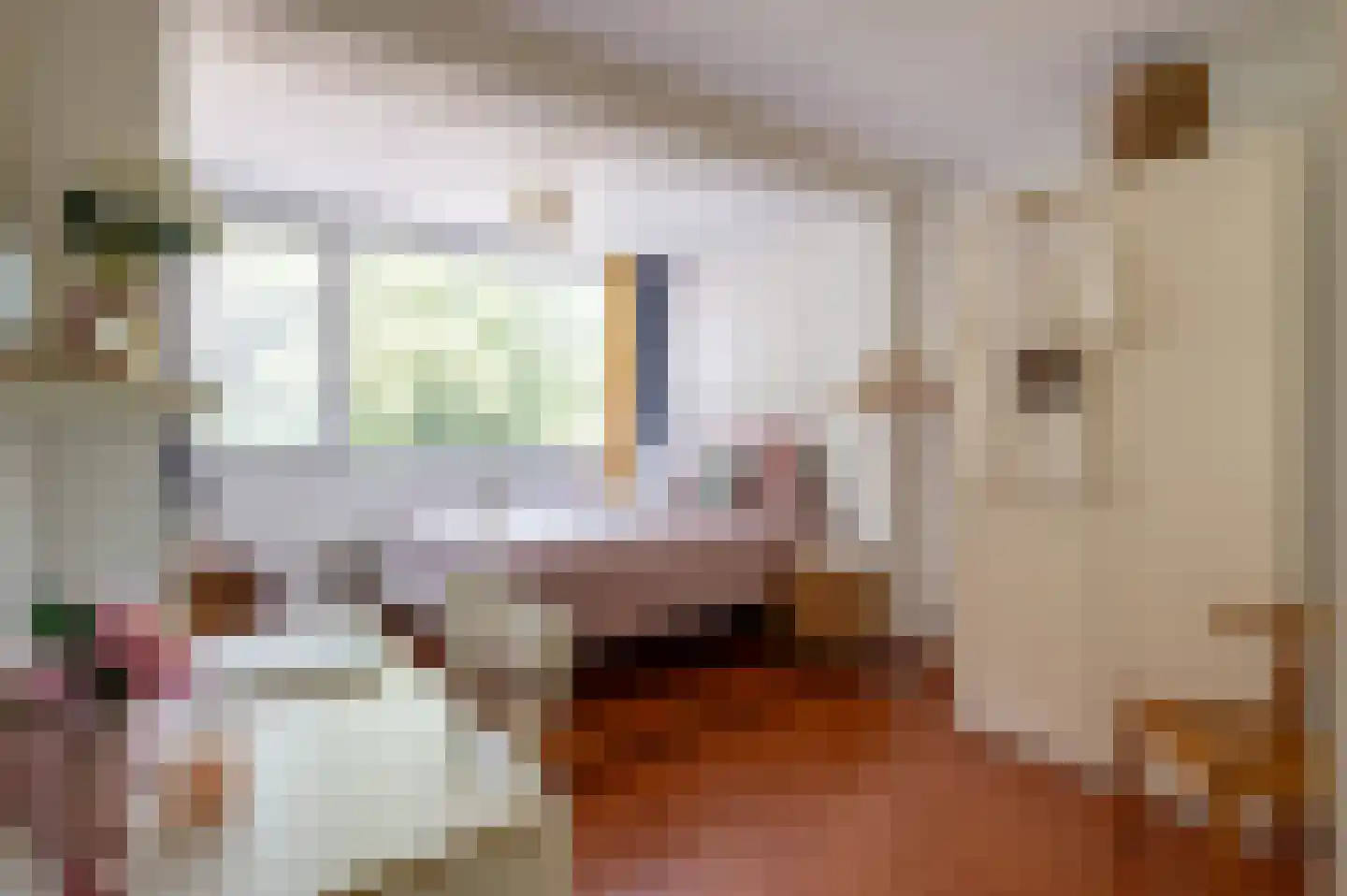 Hubertus van der Clusenstraat 8 Waalre thumbnail 29