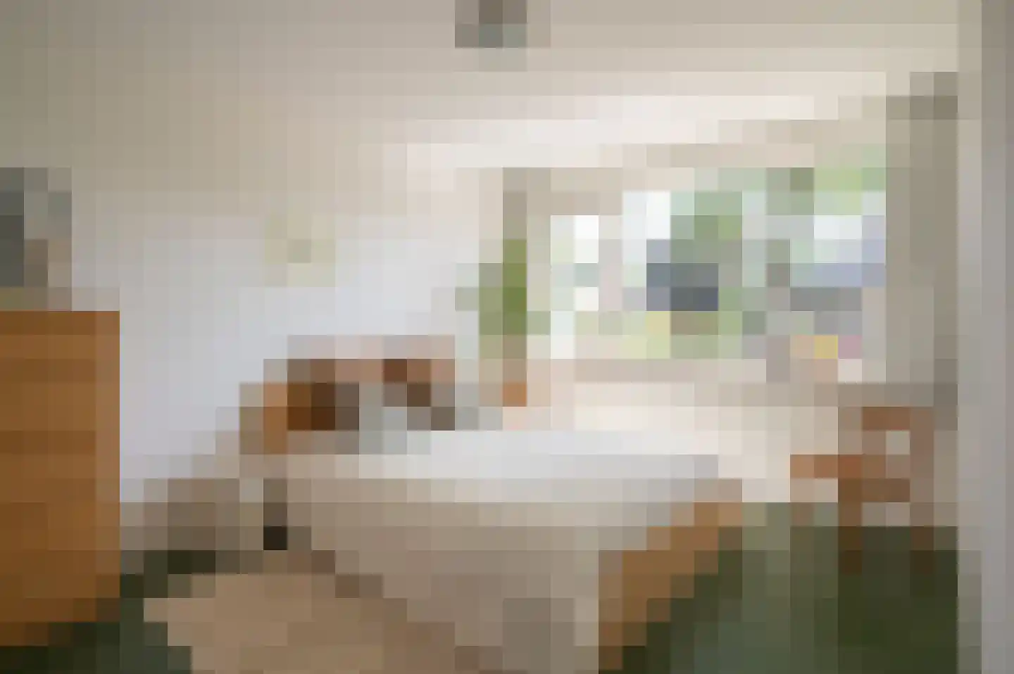 Hubertus van der Clusenstraat 8 Waalre thumbnail 30