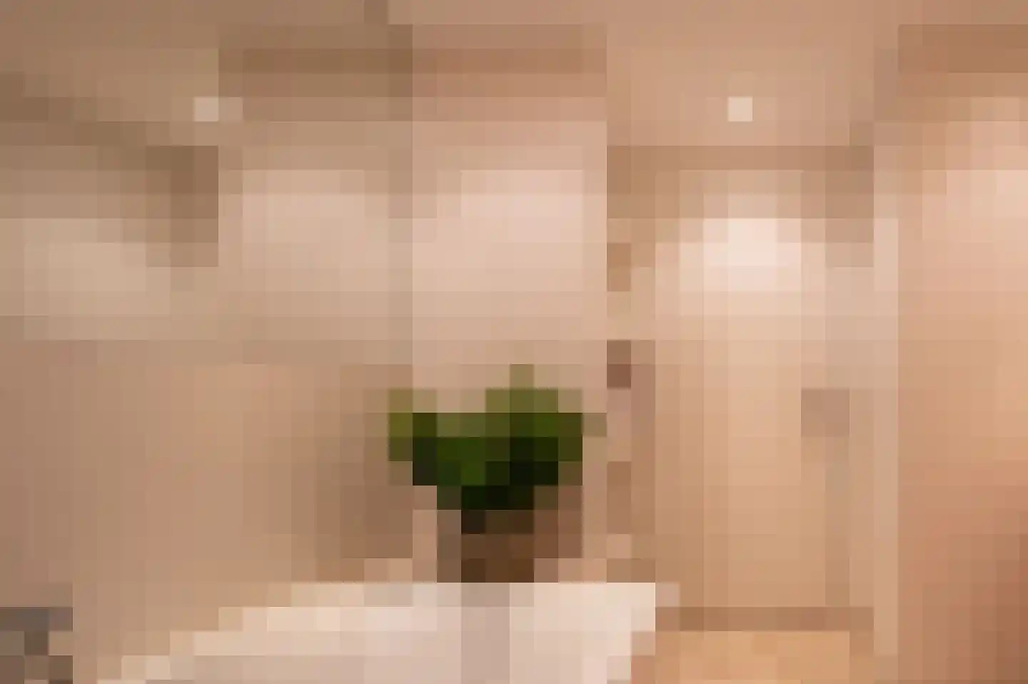 Hubertus van der Clusenstraat 8 Waalre thumbnail 33