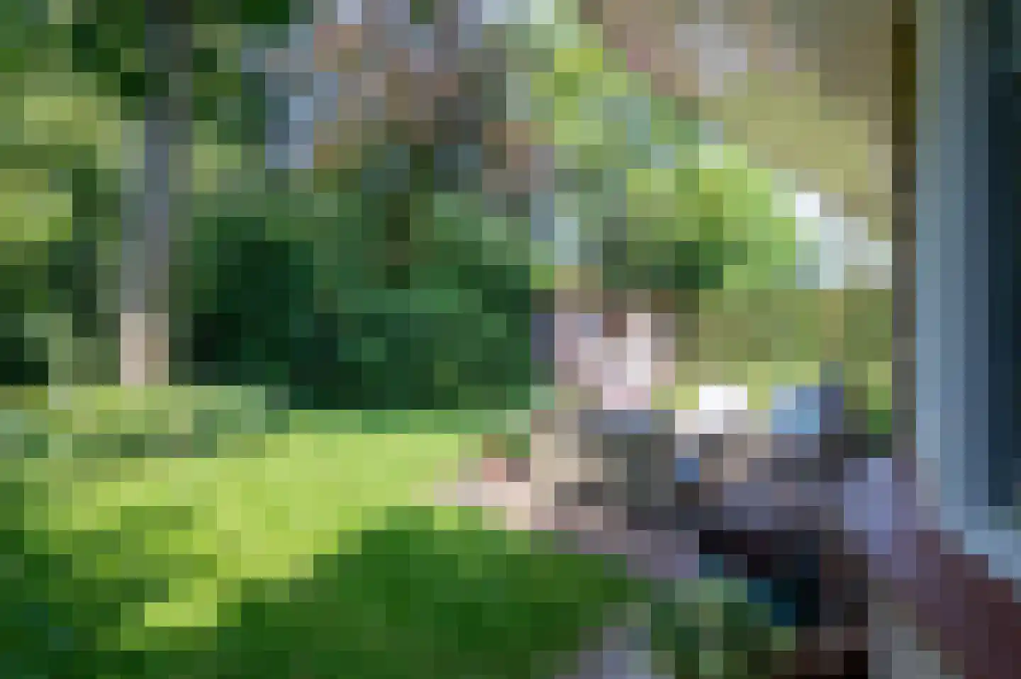 Hubertus van der Clusenstraat 8 Waalre thumbnail 40