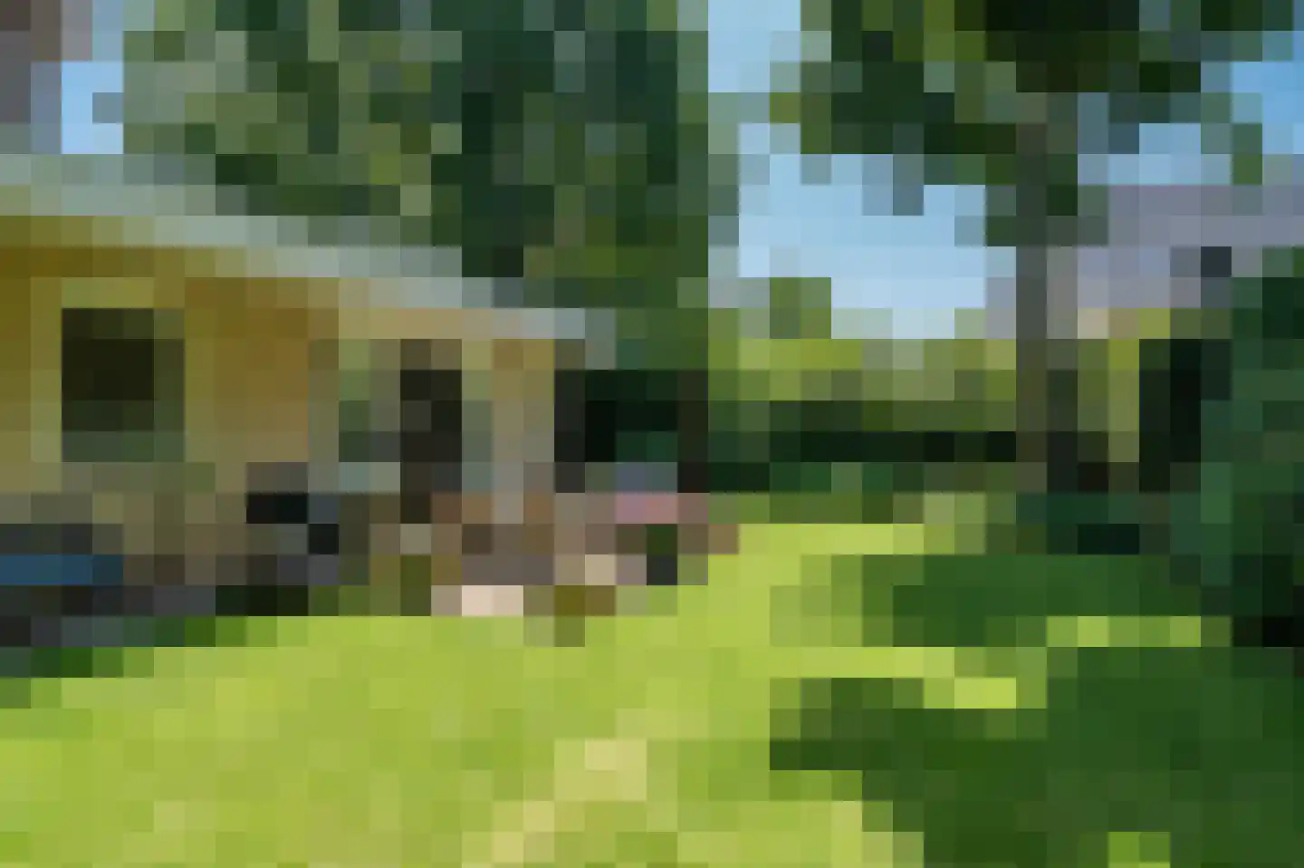 Hubertus van der Clusenstraat 8 Waalre thumbnail 44