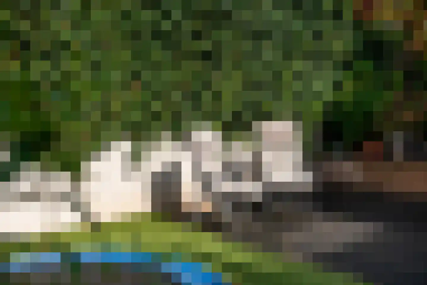 Hubertushoeve 6 Oosterbeek thumbnail 31