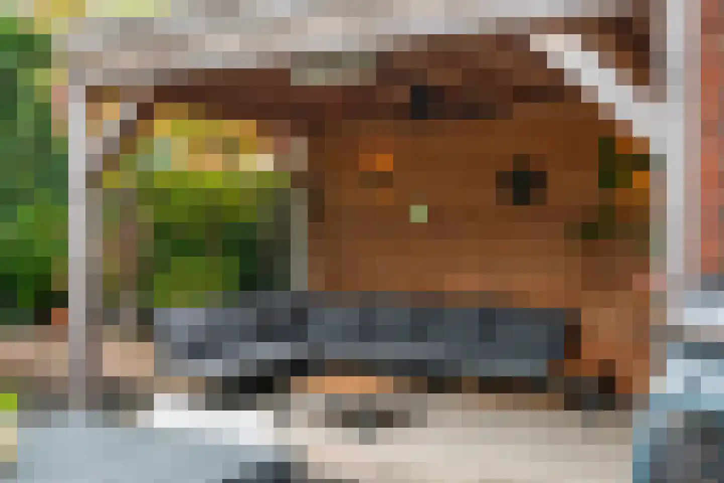 Hubertushoeve 6 Oosterbeek thumbnail 34