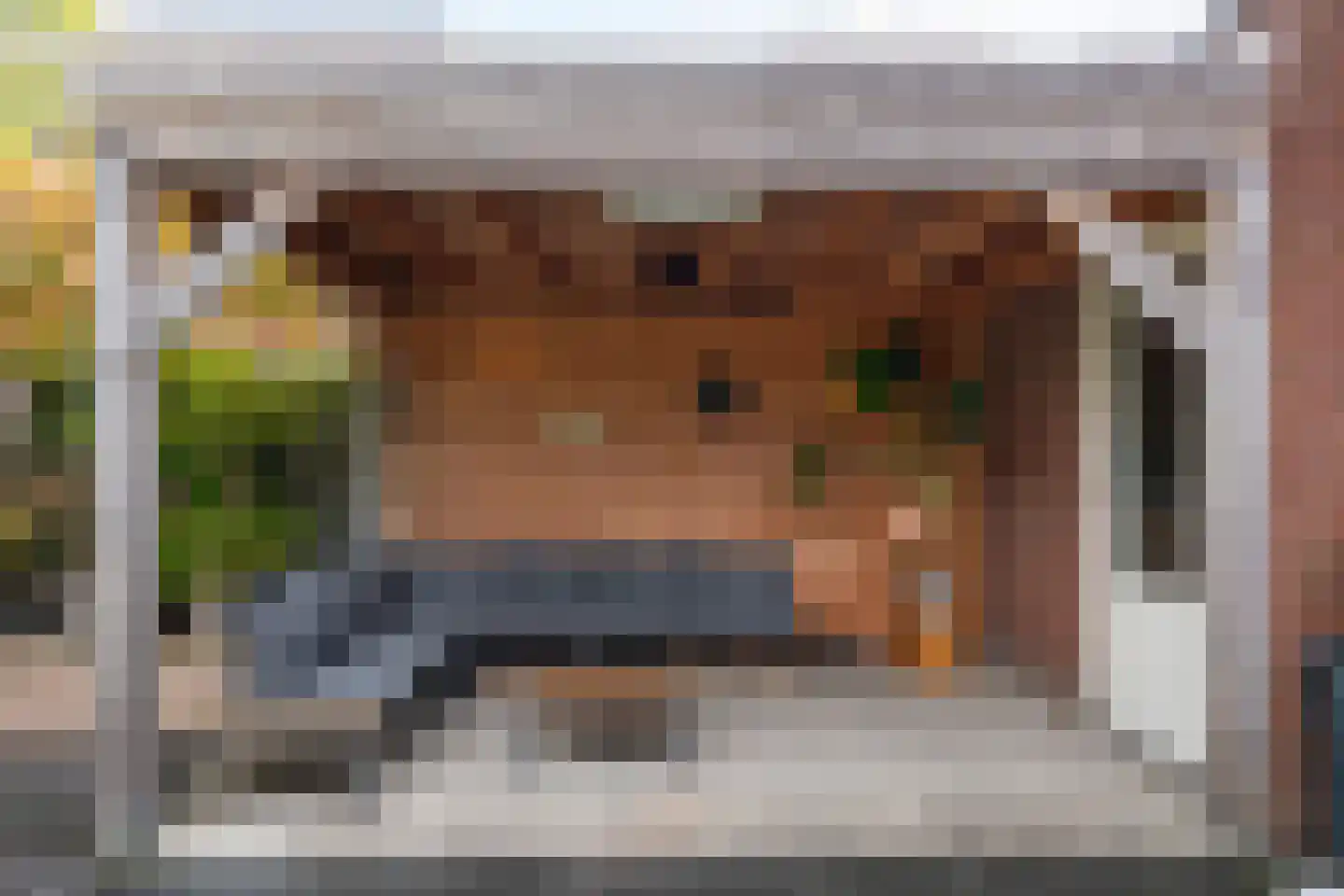 Hubertushoeve 6 Oosterbeek thumbnail 35