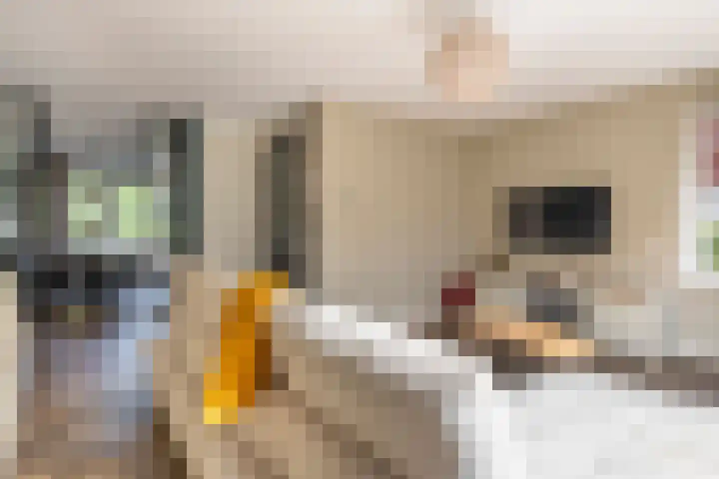 Hubertushoeve 6 Oosterbeek thumbnail 5