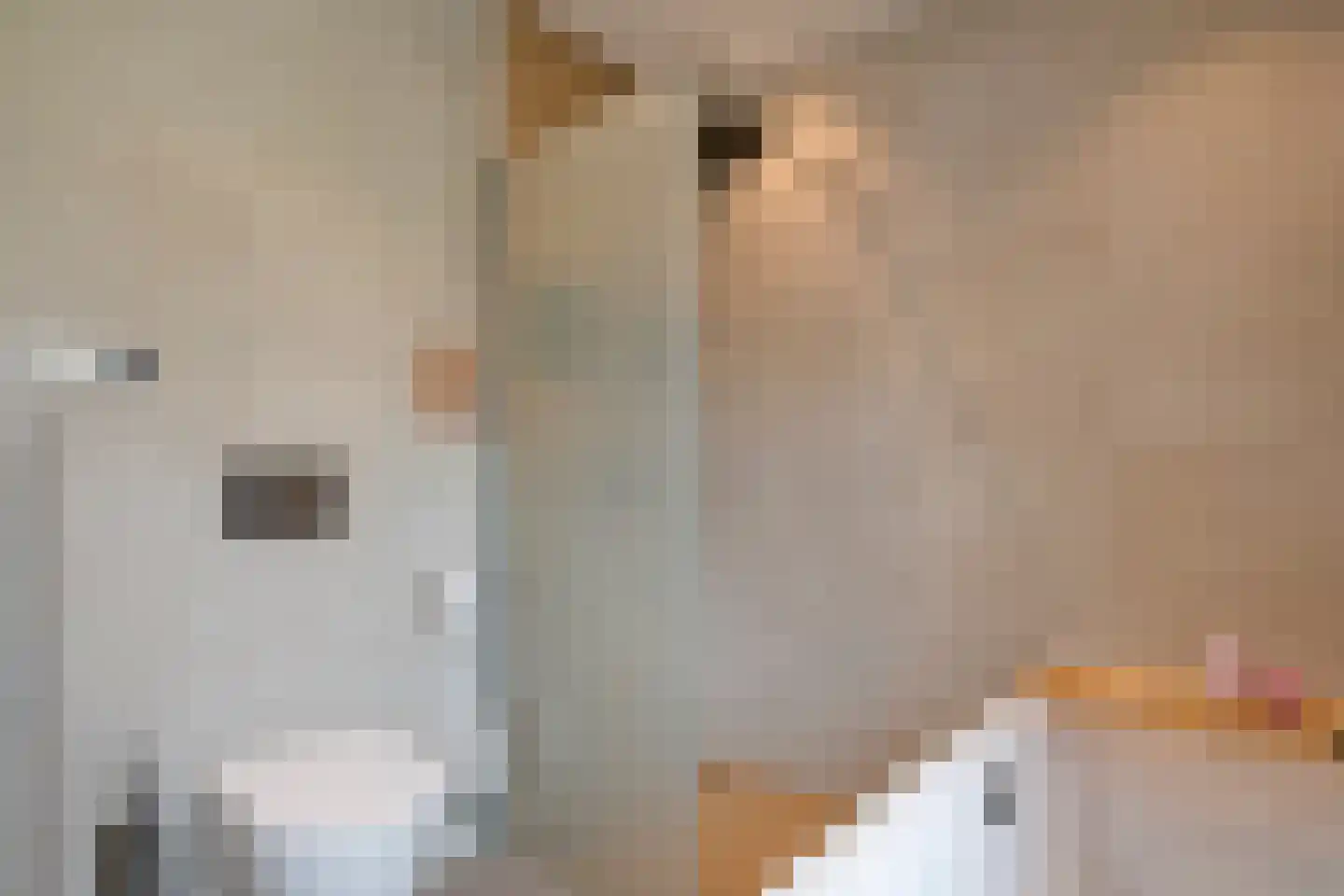 Hubertushoeve 6 Oosterbeek thumbnail 51