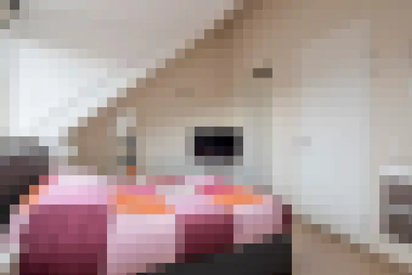 Hubertushoeve 6 Oosterbeek thumbnail 65