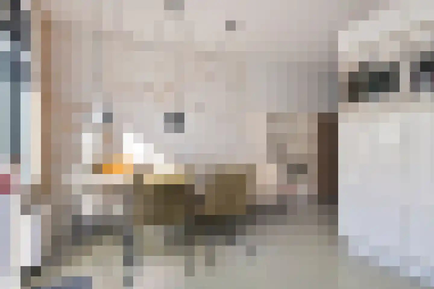Hubertushoeve 7 Oosterbeek thumbnail 22
