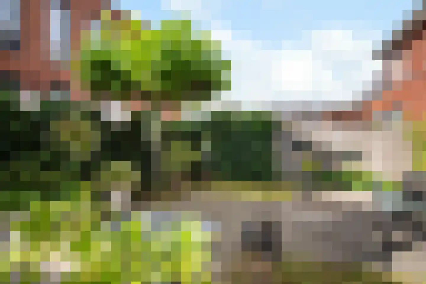 Hubertushoeve 7 Oosterbeek thumbnail 29