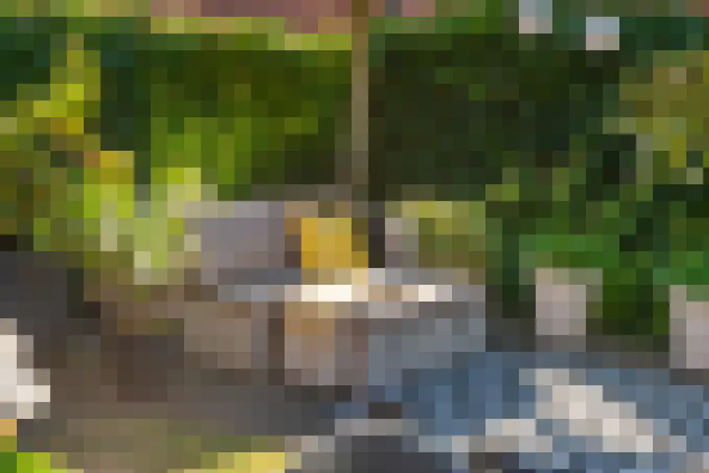 Hubertushoeve 7 Oosterbeek thumbnail 31