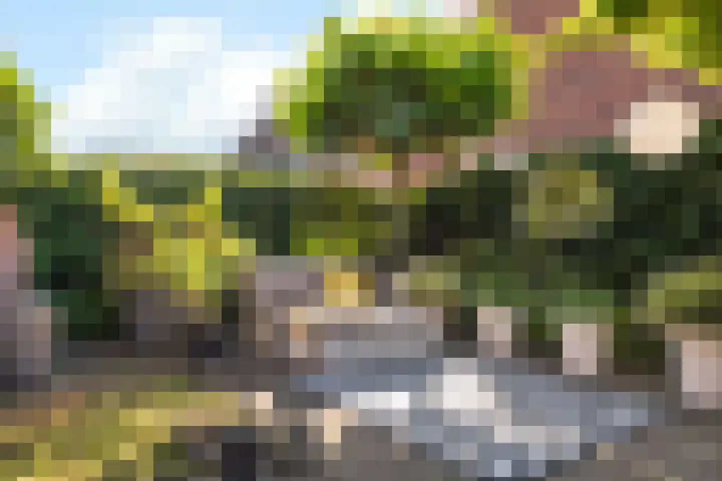 Hubertushoeve 7 Oosterbeek thumbnail 5