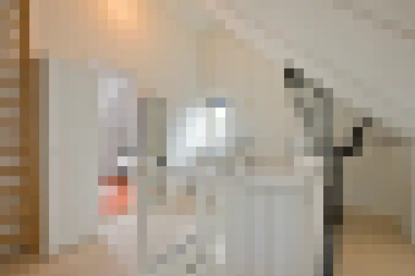 Hubertushoeve 7 Oosterbeek thumbnail 53
