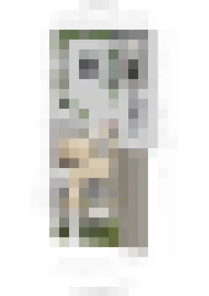 Hubertushof 11 Udenhout thumbnail 57