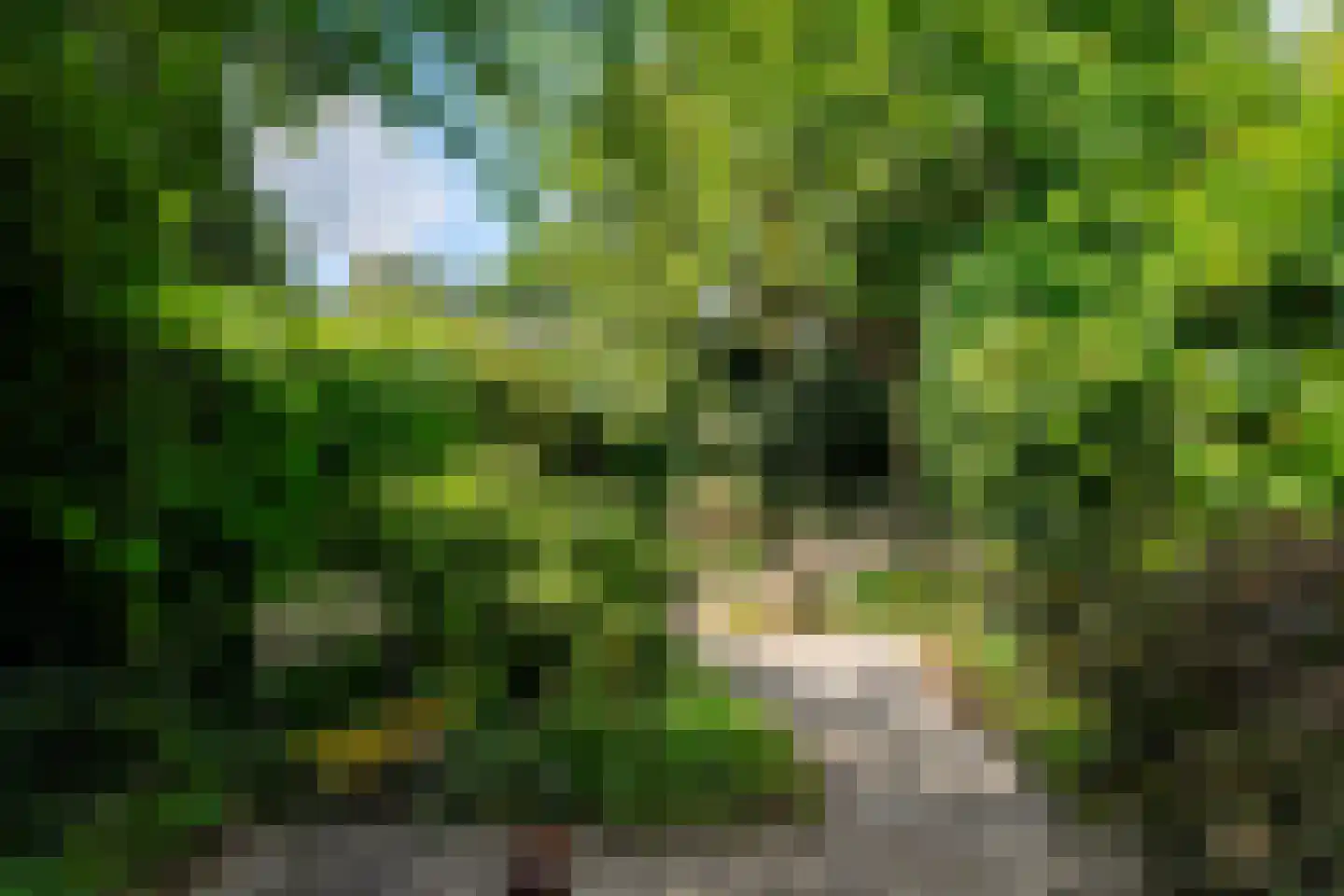 Hubertushof 15 Haren Gn thumbnail 44