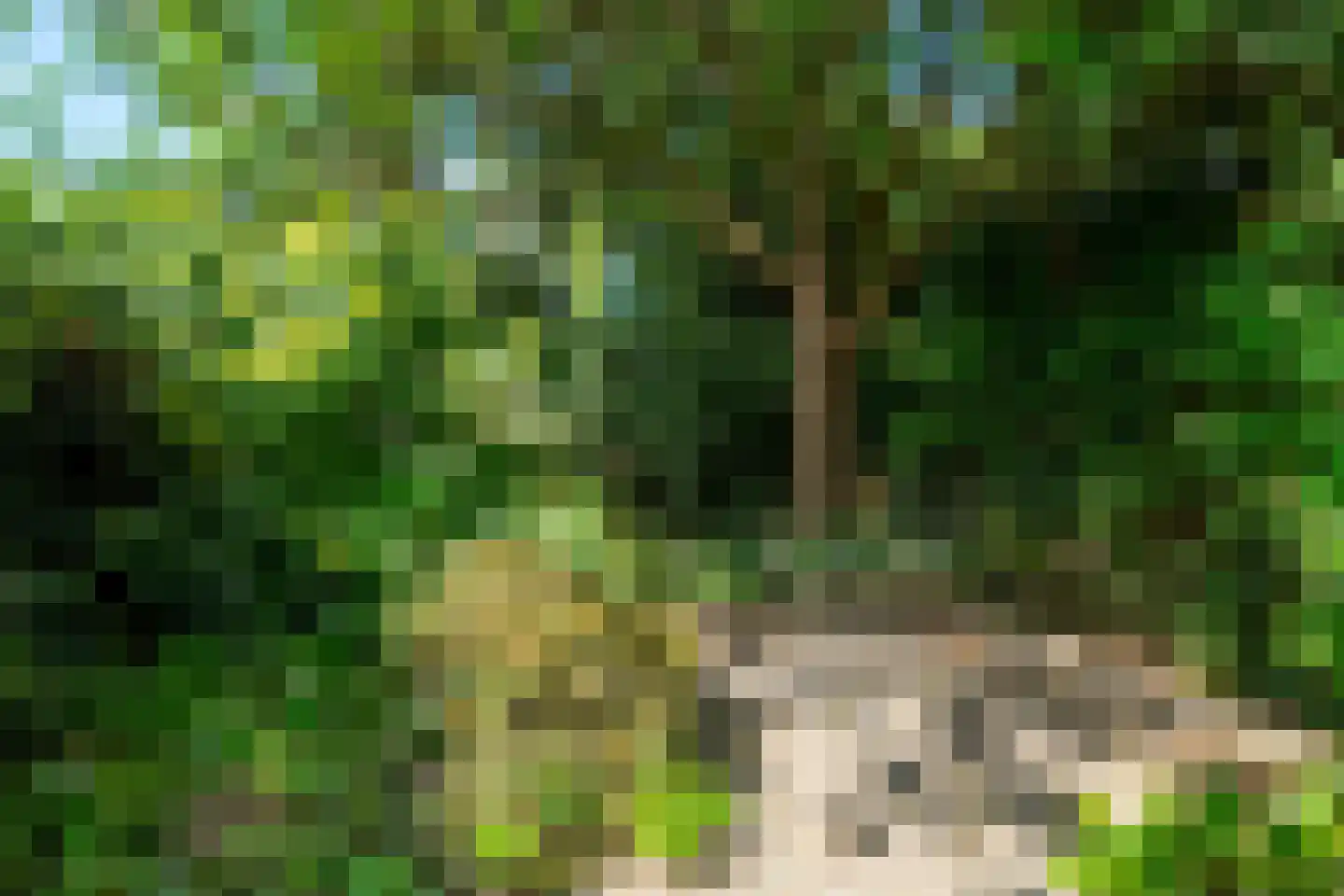 Hubertushof 15 Haren Gn thumbnail 45