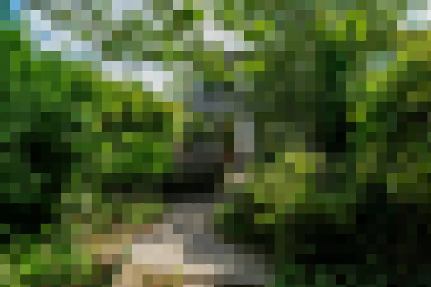 Hubertushof 15 Haren Gn thumbnail 46
