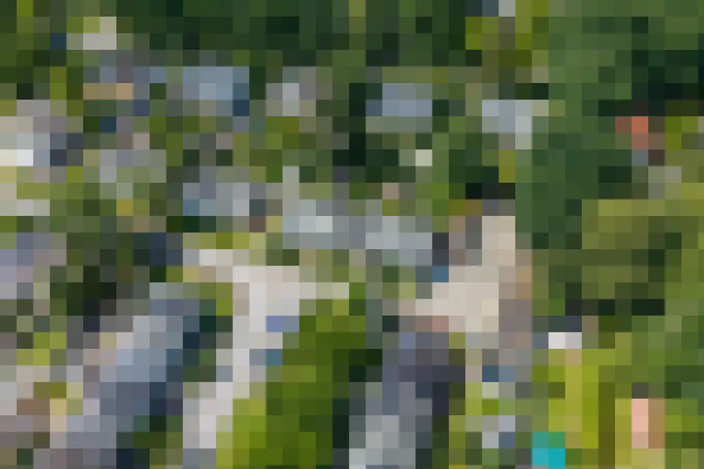 Hubertushof 15 Haren Gn thumbnail 53