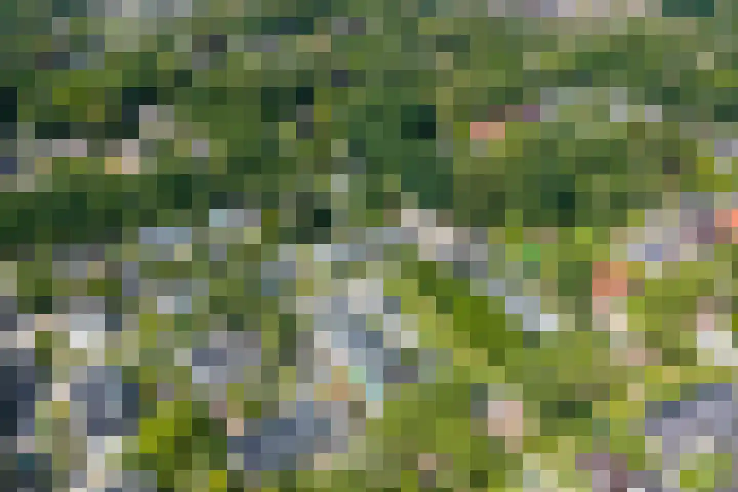 Hubertushof 15 Haren Gn thumbnail 55