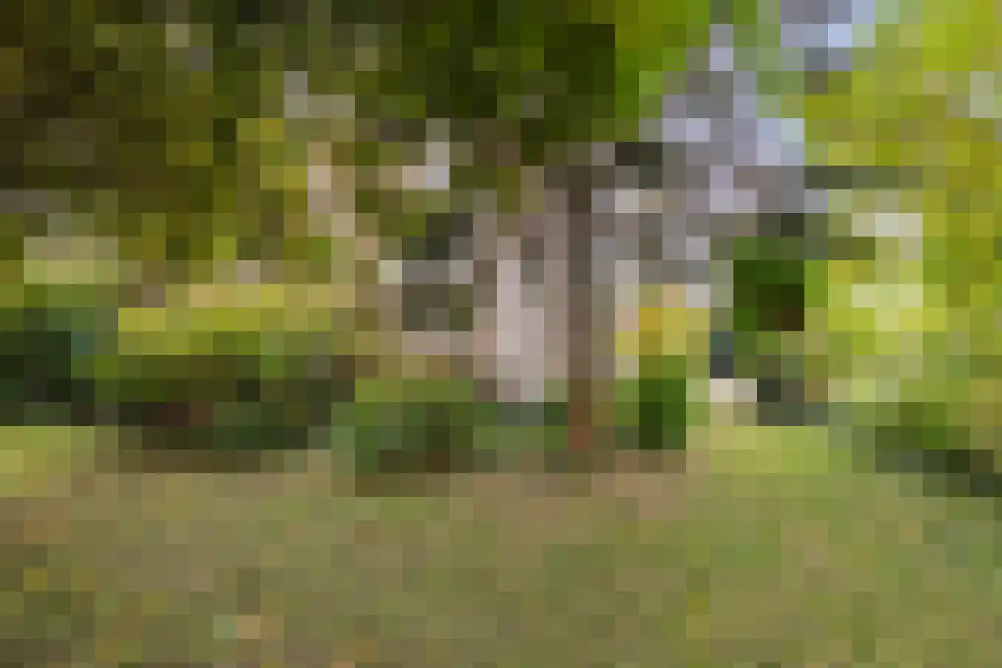 Hubertushof 2 Haren Gn thumbnail 43
