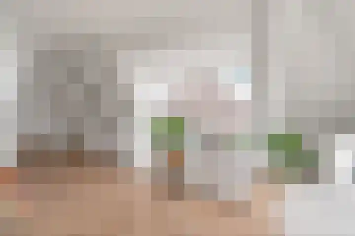 Hubertushof 5 Beek thumbnail 30