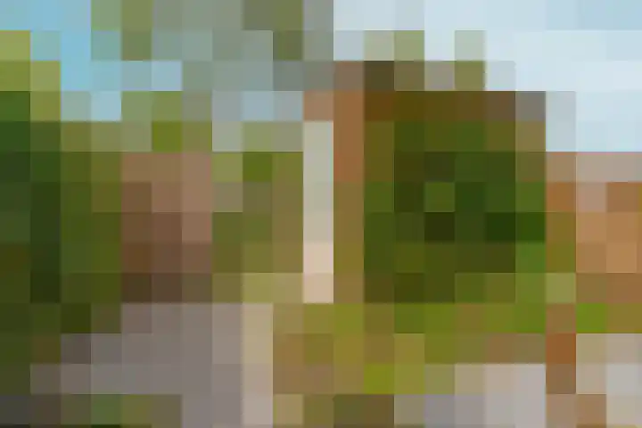 Hubertushof 5 Beek thumbnail 33