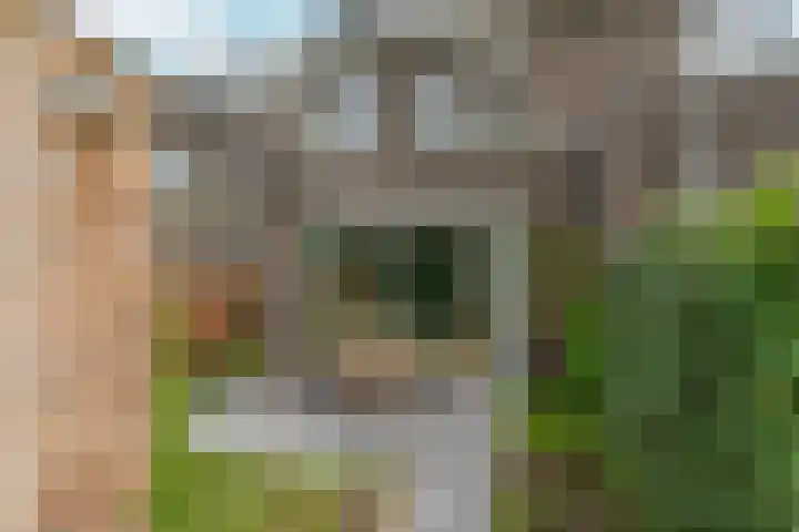 Hubertushof 5 Beek thumbnail 34
