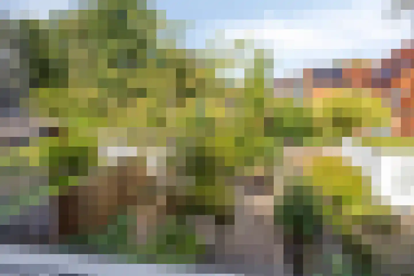 Hubertushof 9 Haren Gn thumbnail 36