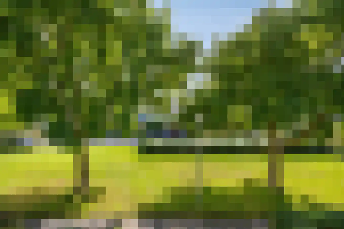 Hubertushof 9 Haren Gn thumbnail 39