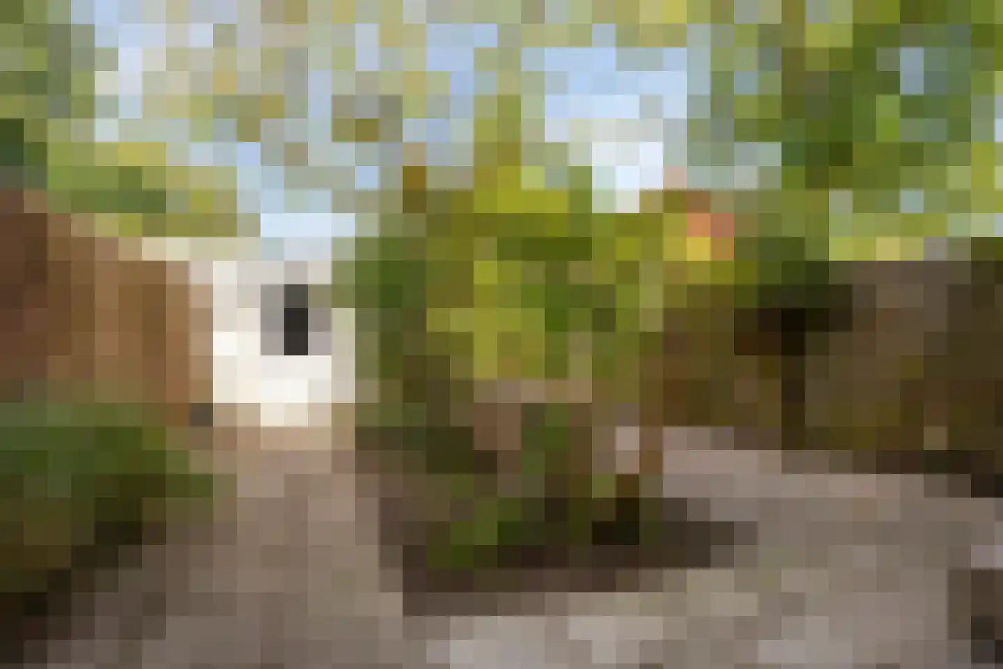 Hubertushof 9 Haren Gn thumbnail 41