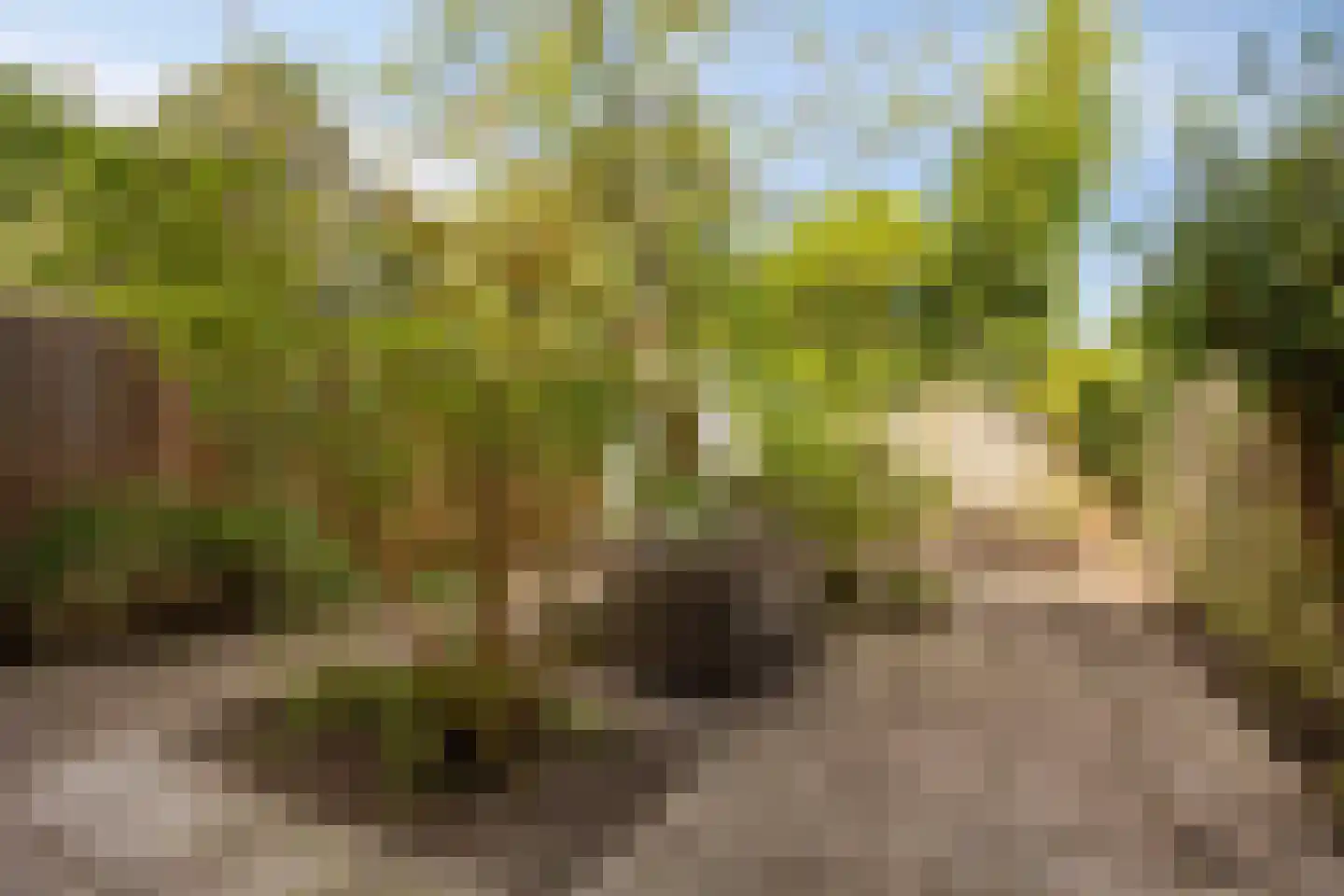 Hubertushof 9 Haren Gn thumbnail 43