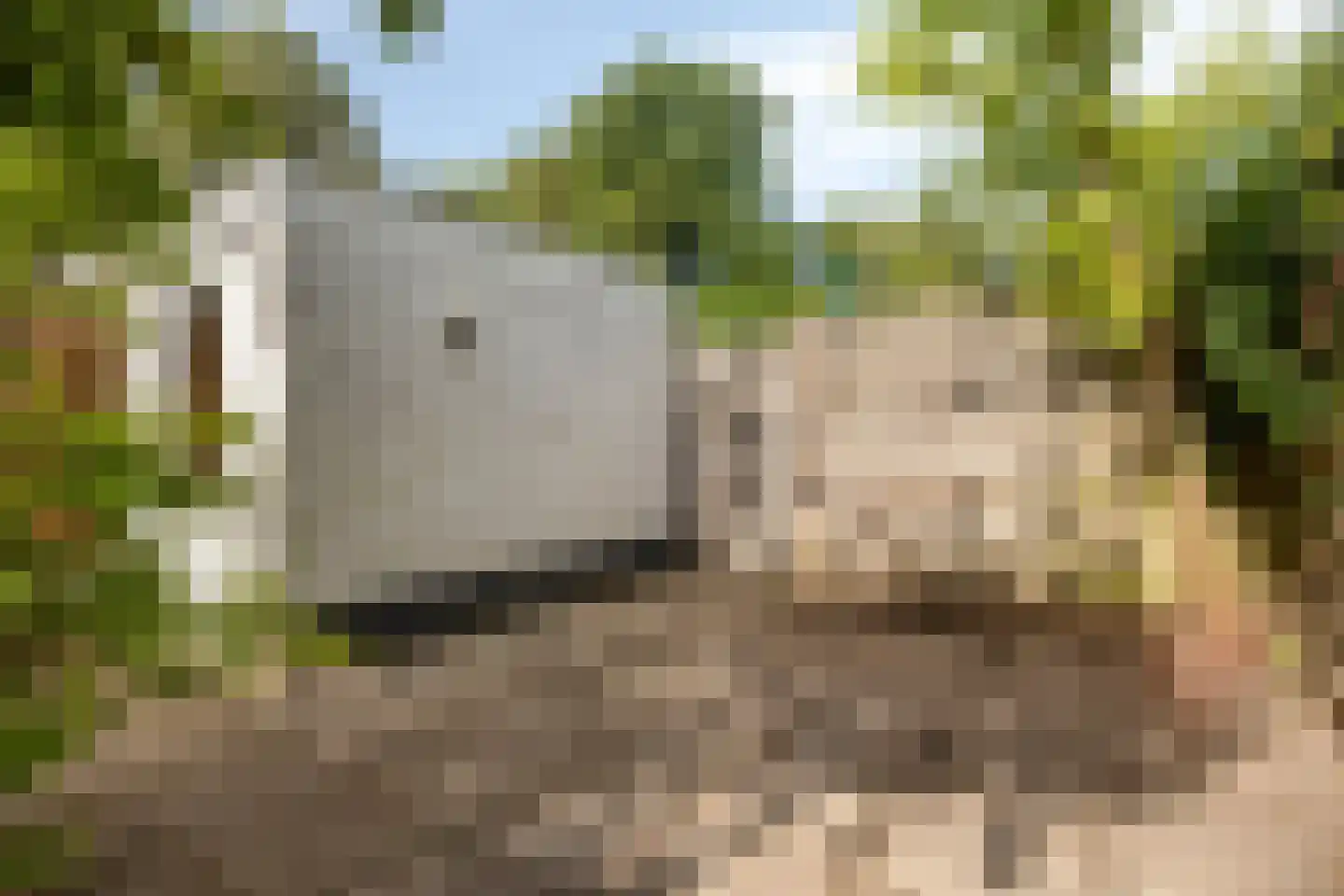 Hubertushof 9 Haren Gn thumbnail 44
