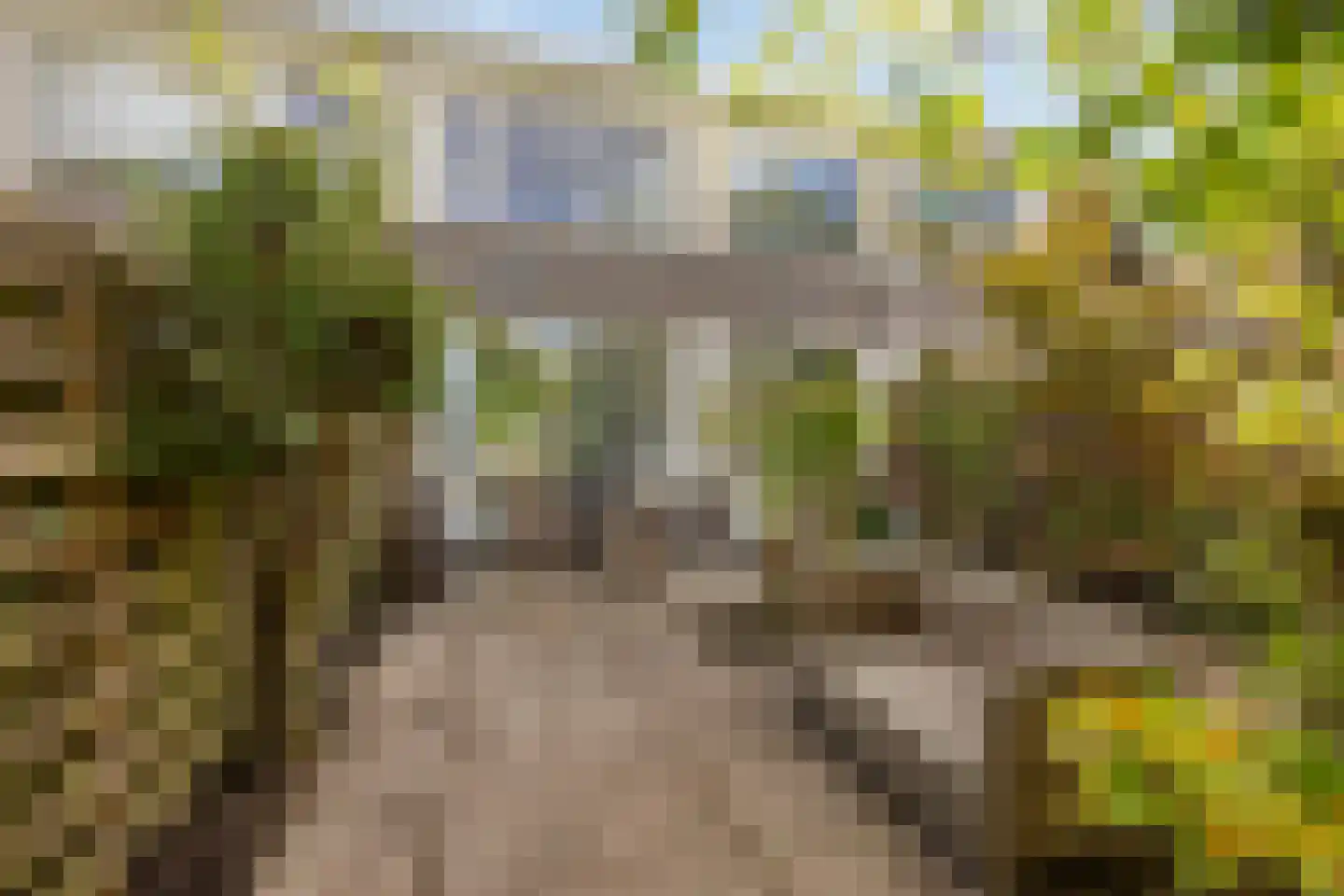 Hubertushof 9 Haren Gn thumbnail 45