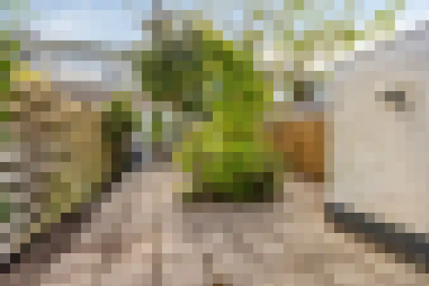 Hubertushof 9 Haren Gn thumbnail 47