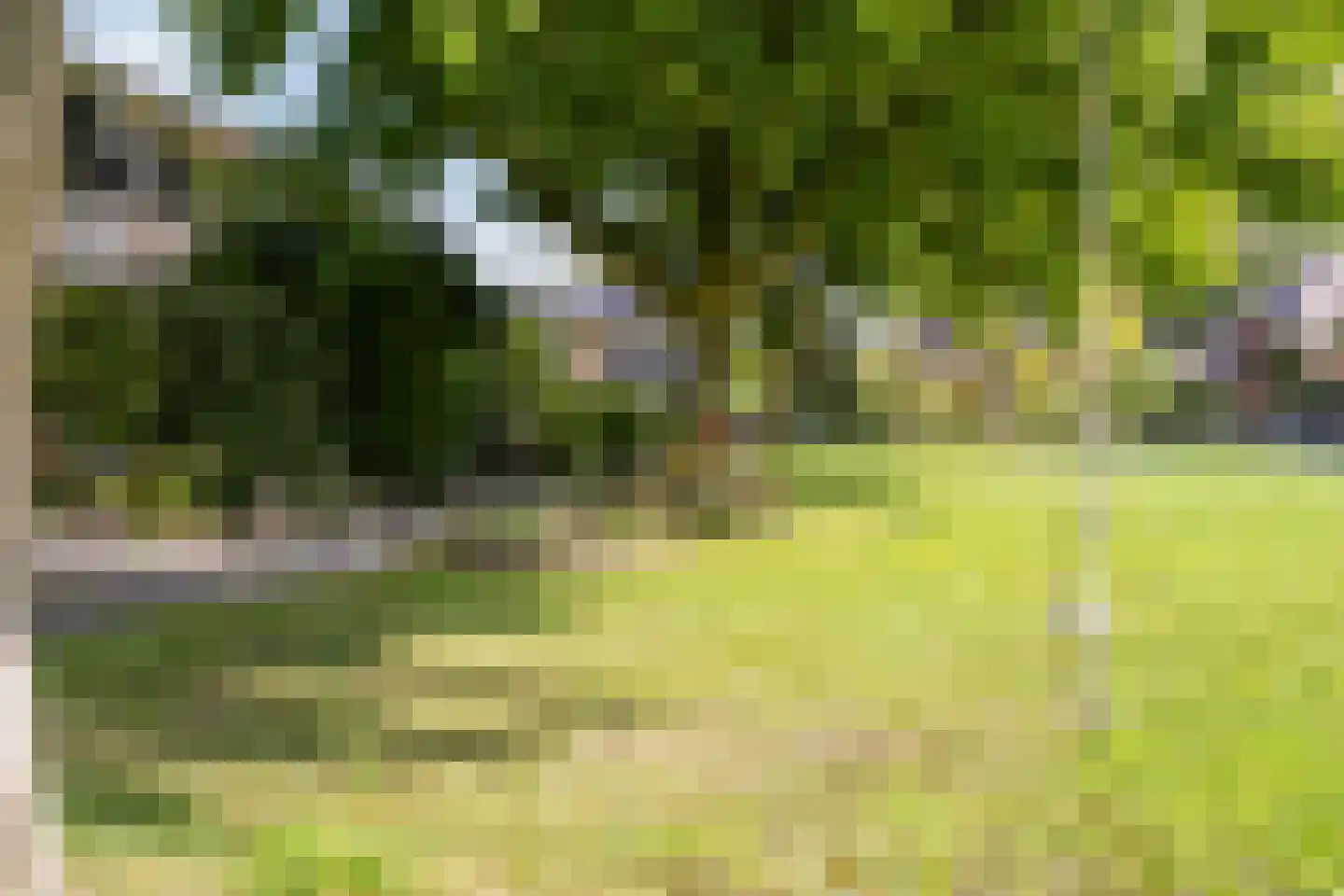 Hubertushof 9 Haren Gn thumbnail 49