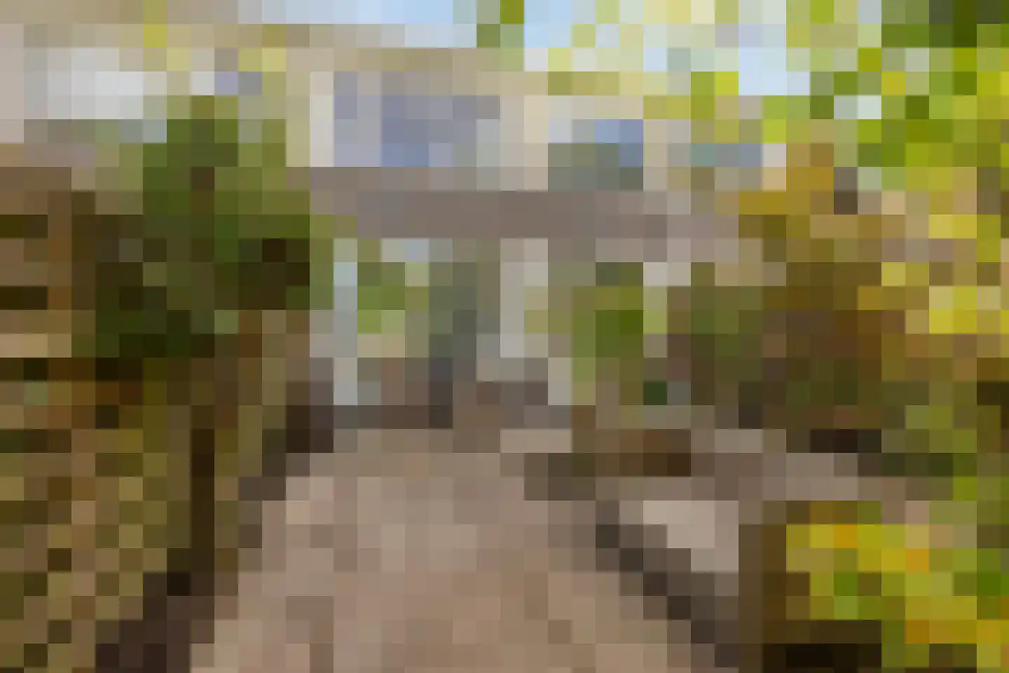 Hubertushof 9 Haren Gn thumbnail 6