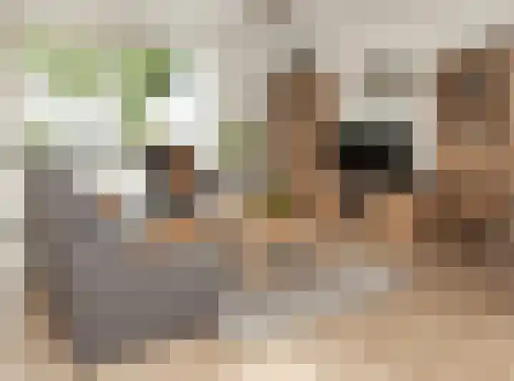 Hubertuslaan 37 Etten-Leur thumbnail 10