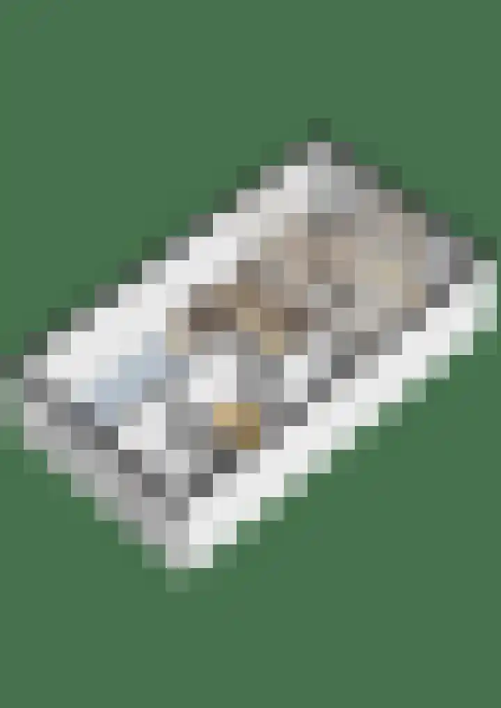 Hubertuslaan 37 Etten-Leur thumbnail 39