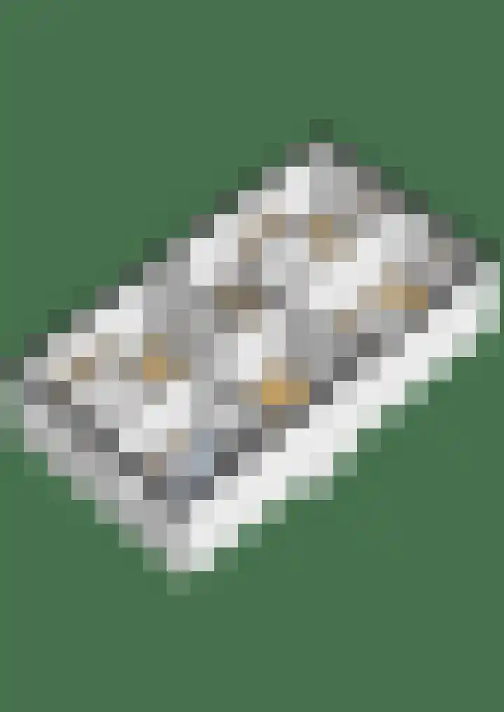 Hubertuslaan 37 Etten-Leur thumbnail 41