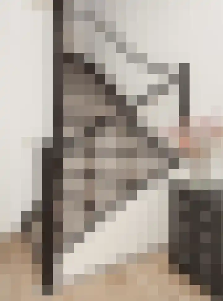 Hubertuslaan 37 Etten-Leur thumbnail 5
