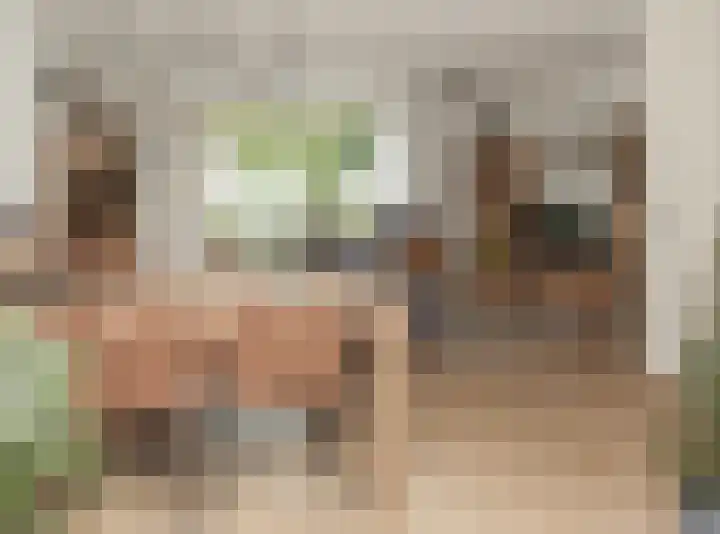 Hubertuslaan 37 Etten-Leur thumbnail 7