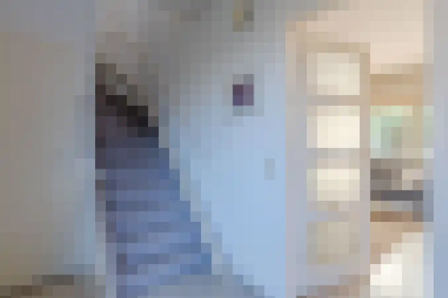 Hubertusstraat 13 Venray thumbnail 4