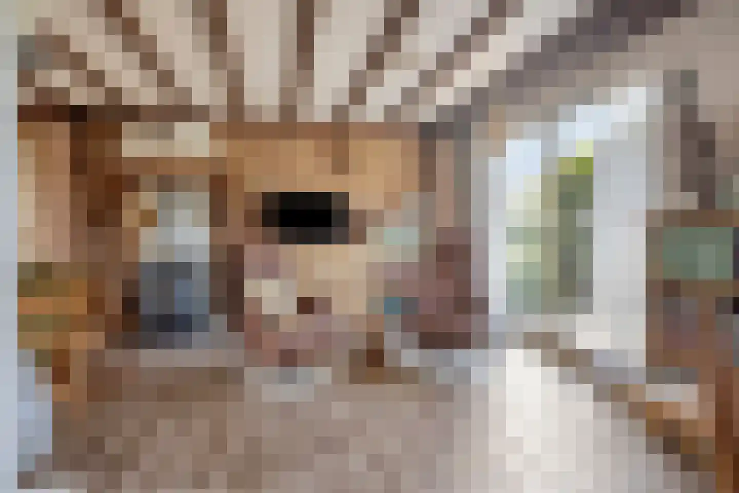 Hubertusstraat 14 Dongen thumbnail 13