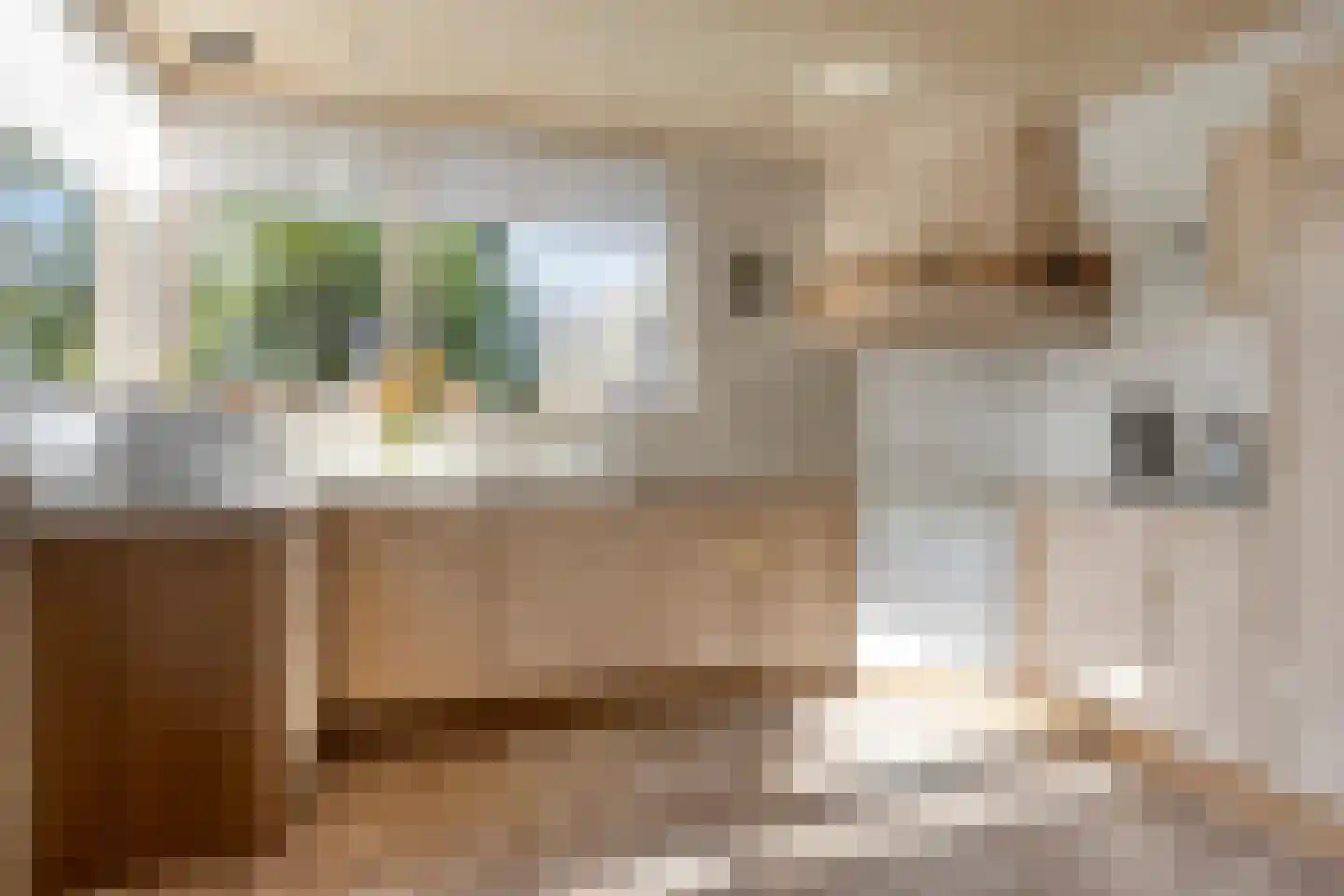Hubertusstraat 14 Dongen thumbnail 4