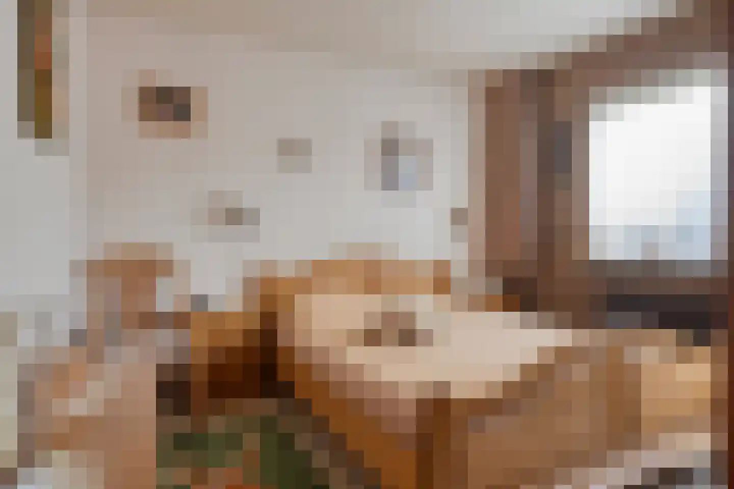 Hubertusstraat 14 Dongen thumbnail 5