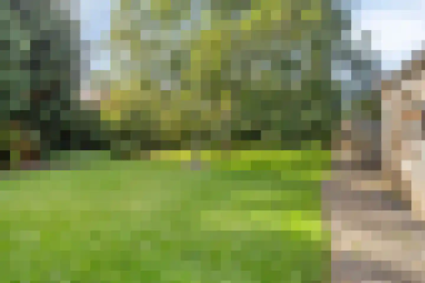 Hubertusstraat 14 Dongen thumbnail 7