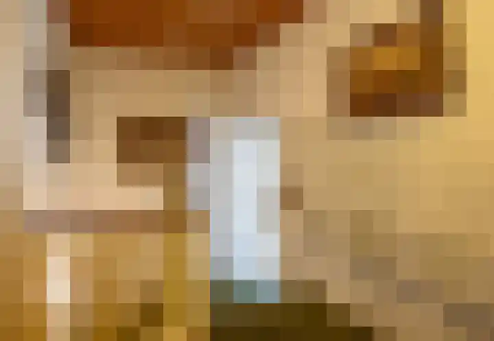 Hubertusstraat 15 Venray thumbnail 20