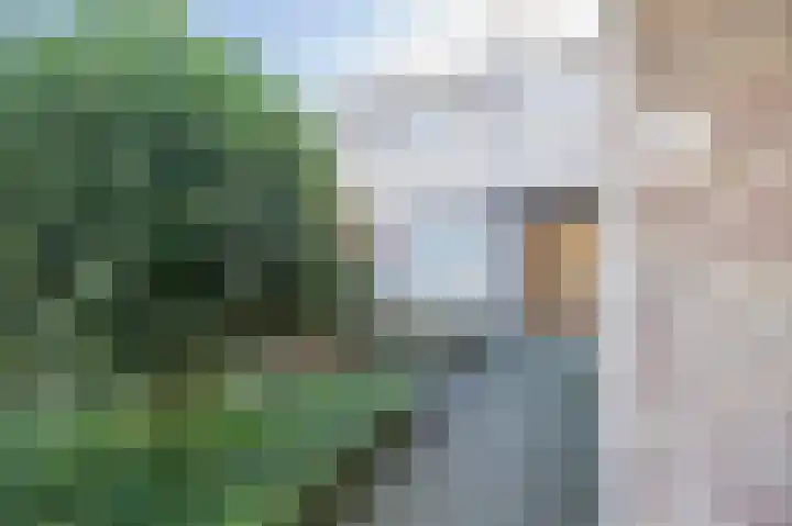Hubertusstraat 15 Venray thumbnail 4
