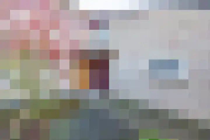 Hubertusstraat 15 Venray thumbnail 5