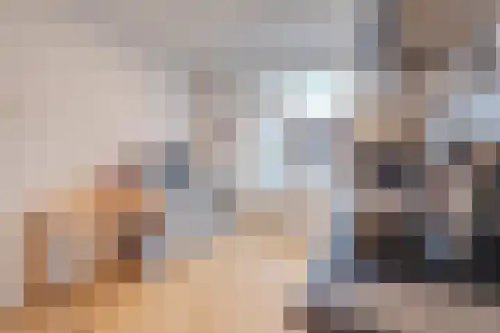 Hubertusstraat 19 Echt thumbnail 10